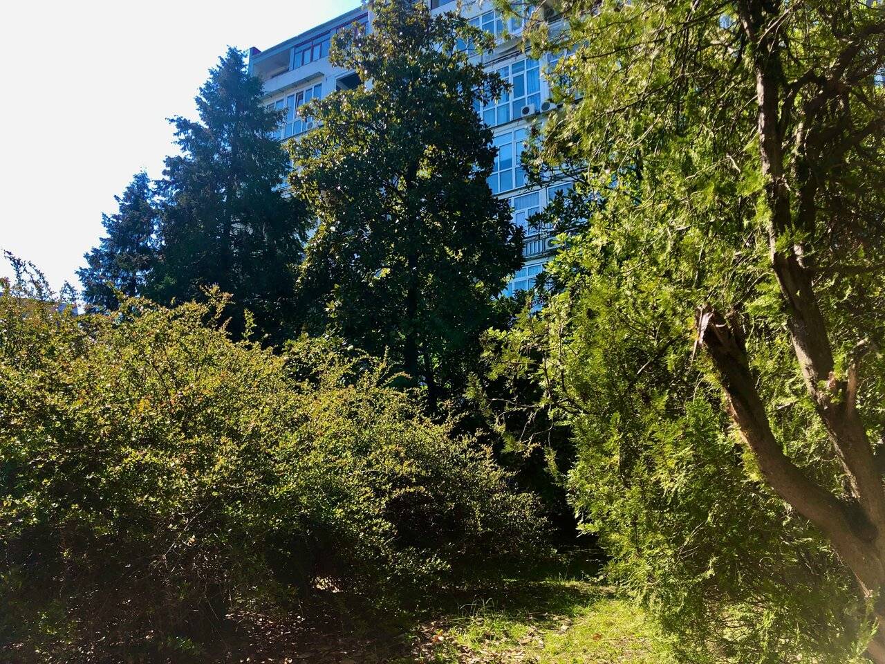 Фото Апартаментов Golden Holiday Сочи 75